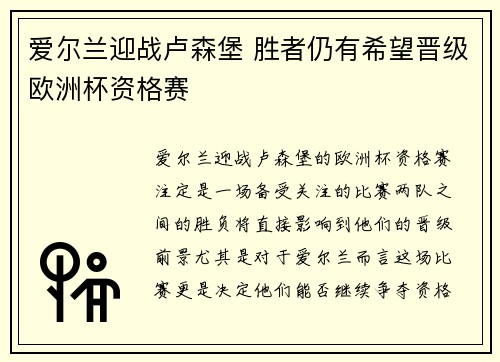 爱尔兰迎战卢森堡 胜者仍有希望晋级欧洲杯资格赛